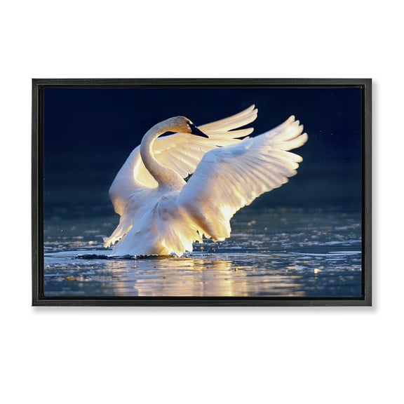 Stupell Industries Sunset Symphony Swan Animals Photography Black Floater Framed Canvas Art Print Wall Art, 25 x 17