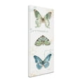 thumbnail image 3 of Trademark Fine Art "My Greenhouse Butterflies VI" Canvas Art by Lisa Audit, 3 of 4