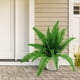thumbnail image 3 of Simulated Persian Grass Small Persian Leaves Simulated Flowers Fern Leaves Bouquet Simulated Plants Home Decoration, 3 of 4
