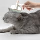 thumbnail image 5 of Cepillo depilatorio para mascotas para gatos | Peine autolimpiador giratorio a 360° | Herramienta multifuncional de peluquería con mango ergonómico, botón de liberación | Elimina el pelo suelto, 5 of 7