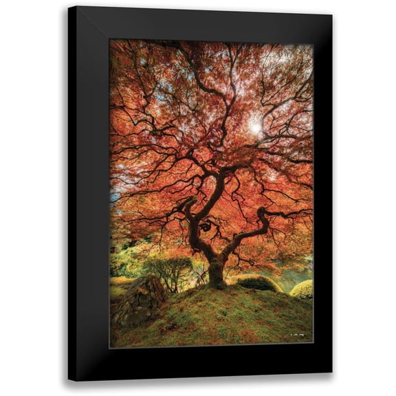 Levy, Moises 17x24 Black Modern Framed Museum Art Print Titled - First Colors of Fall II