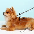 thumbnail image 3 of Pet Enjoy Dog Leash Slip Lead and Snap Hook Leash,Durable Adjustable Nylon Rope with Comfortable Handle Pet Training Traffic Walking Lead Leash for Small Medium Large Dogs, 3 of 8
