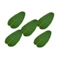 thumbnail image 1 of 5 piezas de hojas artificiales de Canna sin hueso Musa Basjoo hojas de hoja de plátano para fiestas hawaianas y bodas verde, 1 of 7