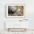 thumbnail image 5 of Banana Slug on River's Edge - Oregon Photography Nature Wilderness Wildlife Lake Botanical Woodland Insect Oak Framed Wall Art Print 12 x 18 inches, 5 of 6