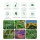 thumbnail image 2 of Pulsera Repelente De Insectos Y Mosquitos Pulsera Repelente De Plagas Impermeable Al Aire Libre yuarrent OD015949-07, 2 of 6