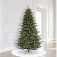 thumbnail image 2 of Vickerman A110376LEDCC 7.5 ft. x 64 in. Itasca Fraser Fir 3 mm 750CC Christmas Tree, 2 of 11