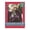 Deep Red, variant on Maroon Red Picture Frame Mat for 12x16 Frames - Fits 10x14 Photos - 1 Mat