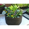 thumbnail image 3 of Smart Pot 5015994 7 gal Salad & Herb Grower Pot, Black, 3 of 3