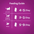 thumbnail image 4 of Whiskas Perfect Portions Turkey Entrée Cuts in Gravy Wet Cat Food, 4 of 9