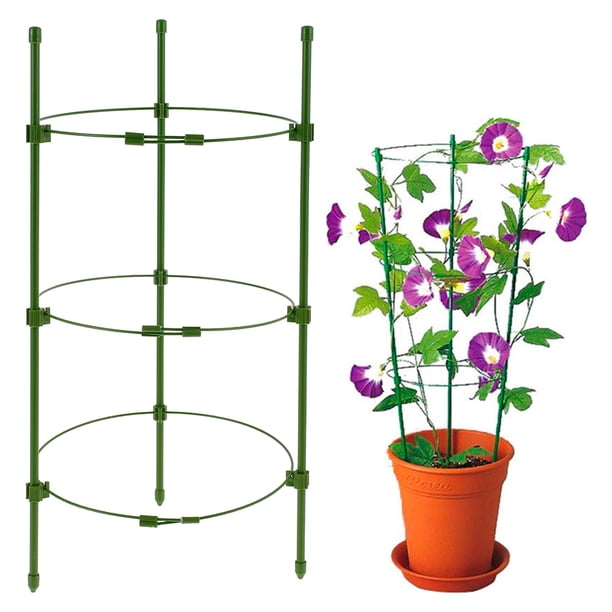 Muyoka Jaulas de tomate, paquete de 4 jaulas de soporte para plantas de jardín, soporte resistente para plantas de tomate de jardín, estacas de metal recubiertas de plástico verde, plantas trepadoras Muyoka Hogar