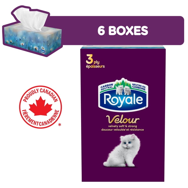 Royale Velour, 3 Ply Facial Tissue, 6 Flat Boxes, 82 Tissues per Box