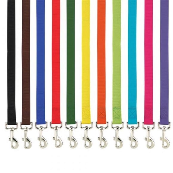Casual Canine ZM2392 44 57 4 ft. x 0.62 in. Basic Nylon Dog Leash Lead, Dark Blue
