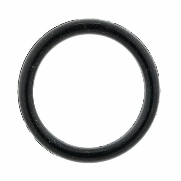 BRP 732401030 Pulley System O-Ring Ski-Doo OEM Expedition Summit Renegade MXZ Skandic