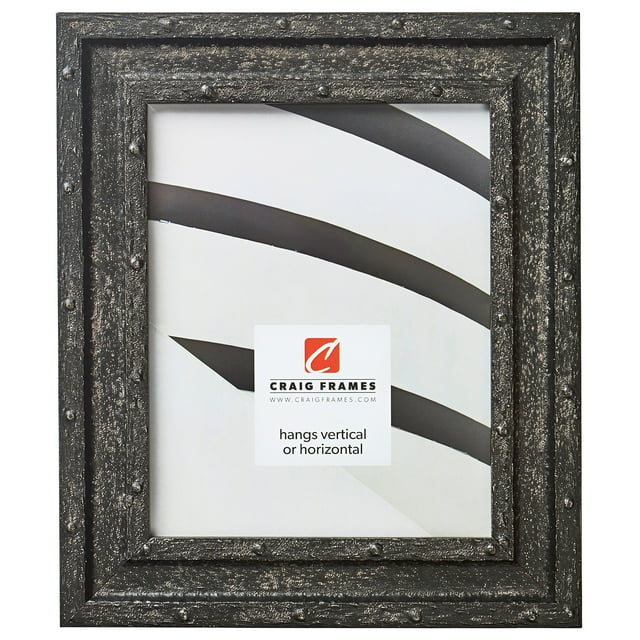 Craig Frames Nautilus Picture Frame, 17 x 22 Inch, Black