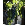 thumbnail image 4 of Grape Vine Print Foldable Canvas Screen with 3 Panels in Multicolor, 4 of 5