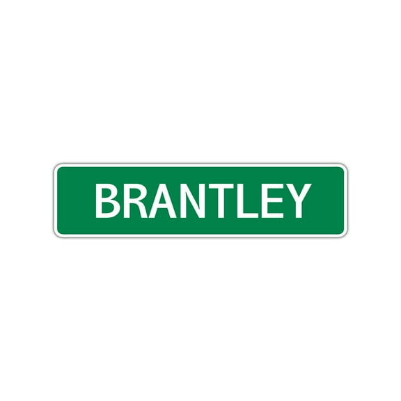 Brantley Boys Children Name Indoor Outdoor Letter Printed Plaque Decoration Label Wall Novelty Aluminum Sign 4"x13.5"