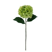 Mainstays 24 inch Artificial Flower Hydrangea Stem, Green Color. Indoor Use.