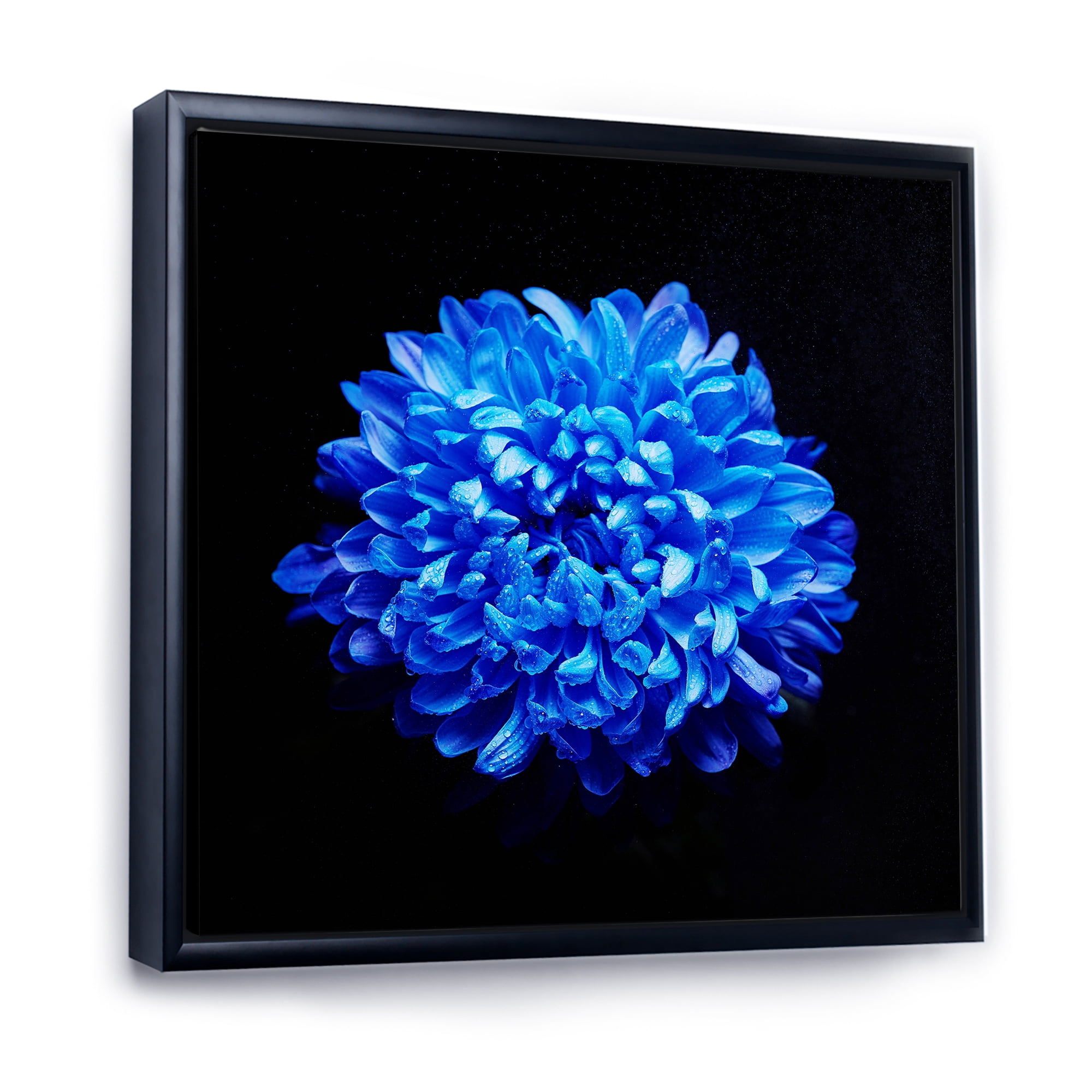 Designart 'Dew Drops on Blue Aster ' Traditional Framed Canvas Wall Art Print