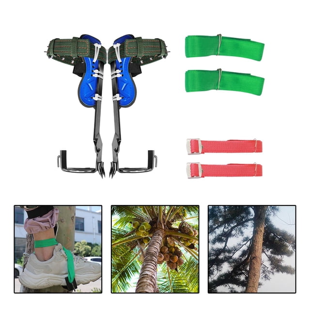 Juego de púas para trepar árboles DYNWAVEMX equipo para trepar a los árboles