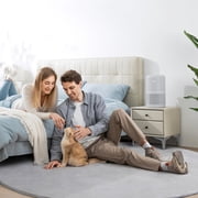 Levoit Core 300-RAC HEPA Air Purifier for Allergies and Asthma, Large Rooms Up to 547 sq ft, Gray