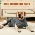 thumbnail image 2 of Amdohai Dog Recovery Suit with 2 PCS Nappies Diaper Surgery Recovery Shirt for Female Male, 2 of 8