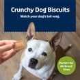 thumbnail image 4 of Blue Buffalo Health Bars Crunchy Dog Biscuits, Apples & Yogurt, 16-oz. Bag, 4 of 11