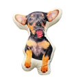 thumbnail image 4 of Coussin Personnalisé pour Animaux, 4 of 6