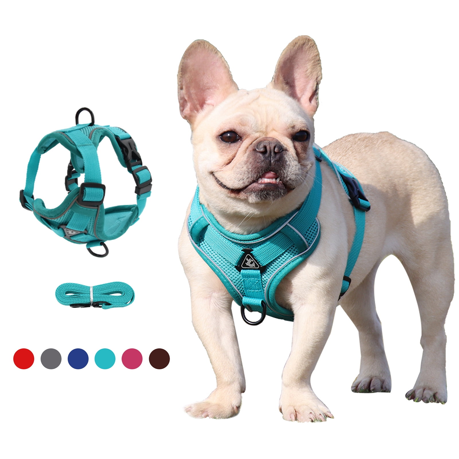 elastic dog harness