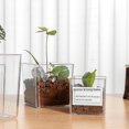 thumbnail image 1 of Maceta de plástico transparente cuadrada para plantas hidropónicas, maceta verde, material PS, maceta decorativa con patrón, 1 of 4