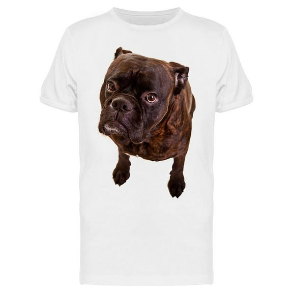 Boxer Dog Looks Worried T-Shirt Men -Image by Shutterstock, Male Medium