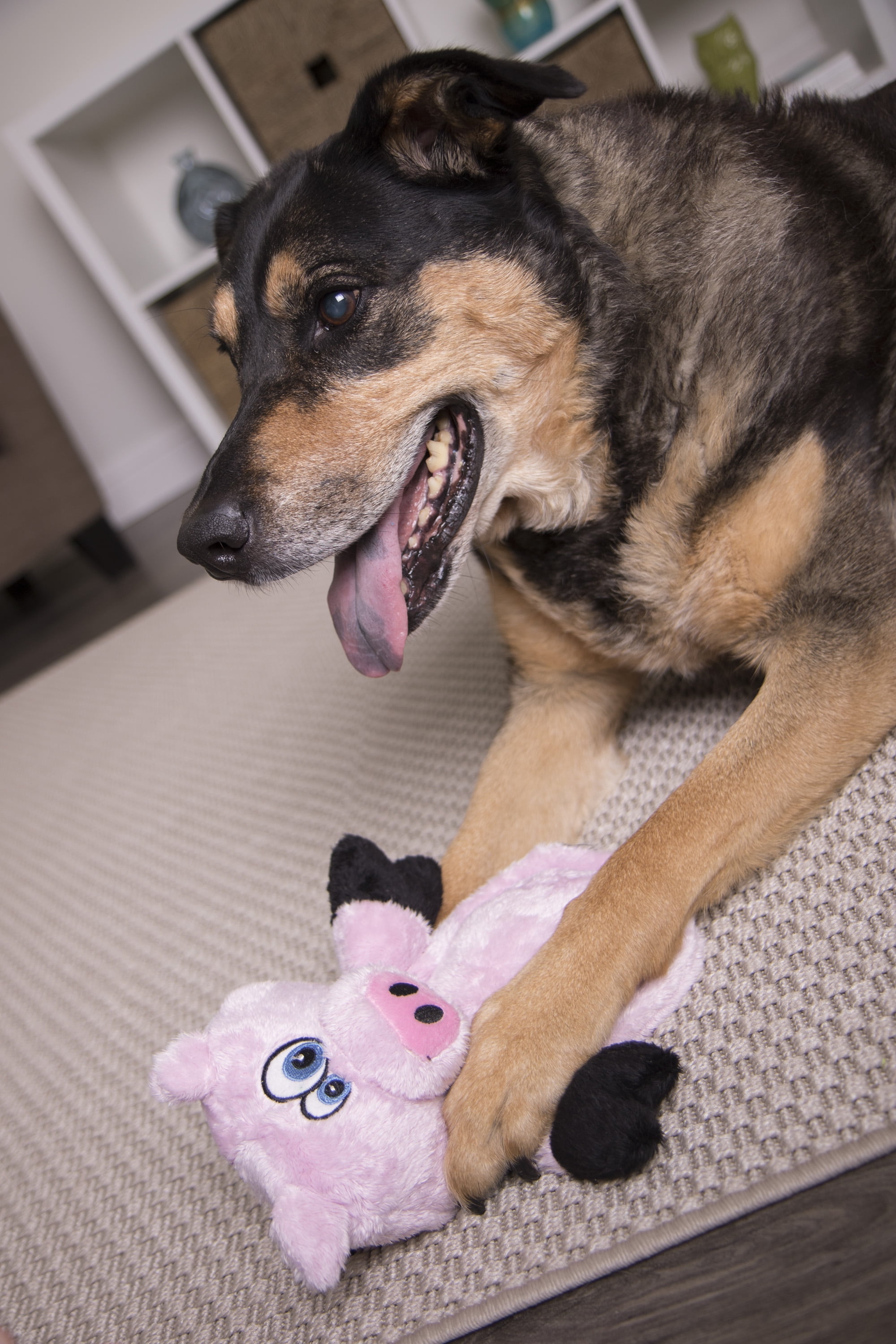 HEAR DOGGY!® Flattie Elephant with Chew Guard Technology™ and Silent Squeak  Technology™ Plush Dog Toy 