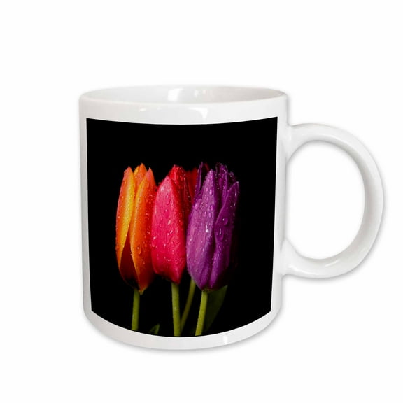 3drose, Orange Red N Purple Dew Covered Tulips, 15oz Mug