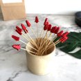 thumbnail image 5 of HLONK Christmas Tree Cocktail Picks  100PCS Bamboo Cocktail Picks Disposable Fruit Cake Sticks Christmas Tree Shape Toothpicks for Appetizer Party Bar, 5 of 5