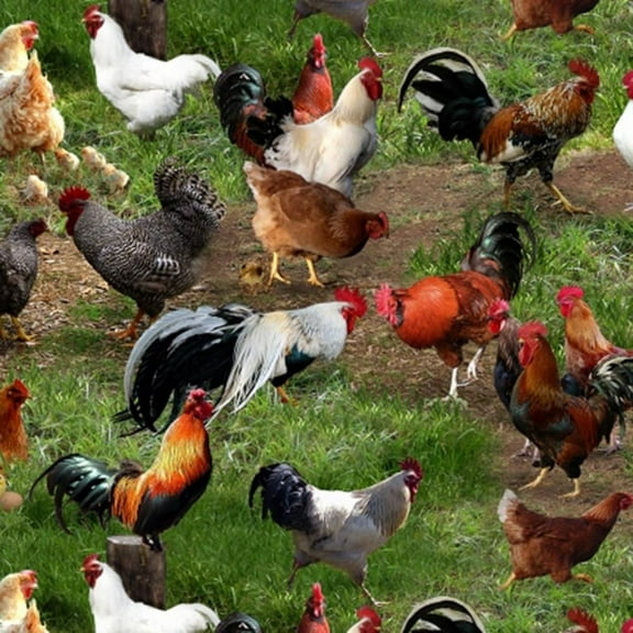 Elizabeth Studios, Rooster Scenic Fabric - Green