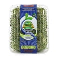 thumbnail image 1 of Germinado de alfalfa San Francisco Cultivos Naturales con kale 200 g, 1 of 4