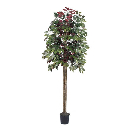 Vickerman 6' Artificial Capensia tree Set in Black (Best Artificial Trees For Indoors)