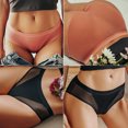 thumbnail image 4 of FINETOO 3 Unids/Set Mujeres Bragas Sexy Malla Lencería Transpirable Mujer Ropa Interior Para Calzoncillos De Baja Alturapangjing, 4 of 4