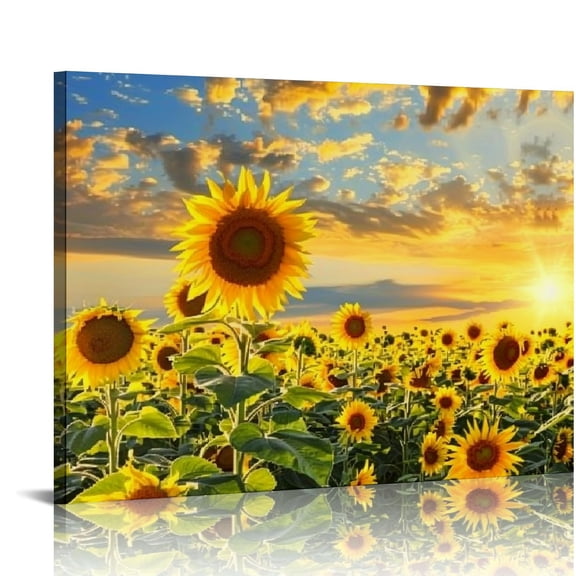 Shiartex Wall Art Canvas Painting Beautiful sunset over sunflower field yellow sunflower canvas Picture Poster Print Framed Ready to Hang for Living Room Bedroom Office 20x16in