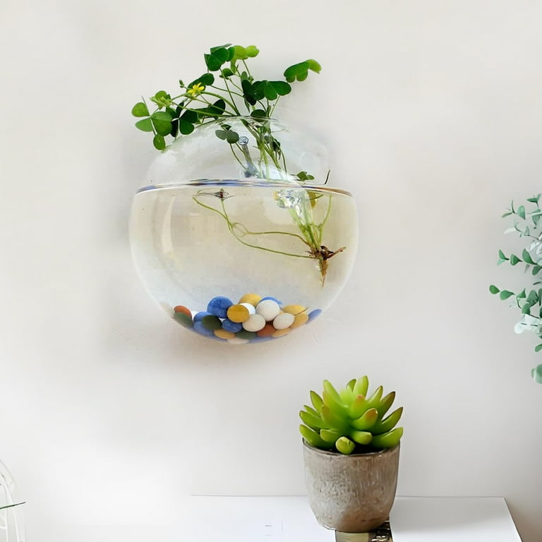 Hanging Planters for Indoor Plants, Wall Hanging Glass Terrariums Planter  Oblate Flower Vase for Hydroponics Plants, Bathroom, Home Office Living  Room Decor - Walmart.com