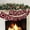 Buffalo Plaid, variant on Merry Christmas Banner - Buffalo Plaid Merry Christmas Sign for Fireplace Mantel - Premium Indoor Xmas Decorations for Home & Party - Living Room Christmas Decorations for Mantle!