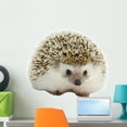 thumbnail image 1 of Hedgehog Wall Mural by Wallmonkeys Peel and Stick Graphic (24 in W x 20 in H) WM340466, 1 of 4