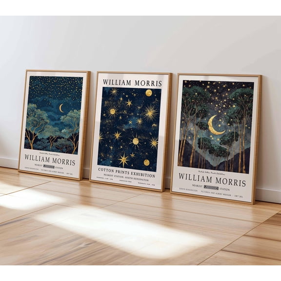 William Morris Night Sky Art Prints Botanical Decor Home Decor Office Wall Art Set 3