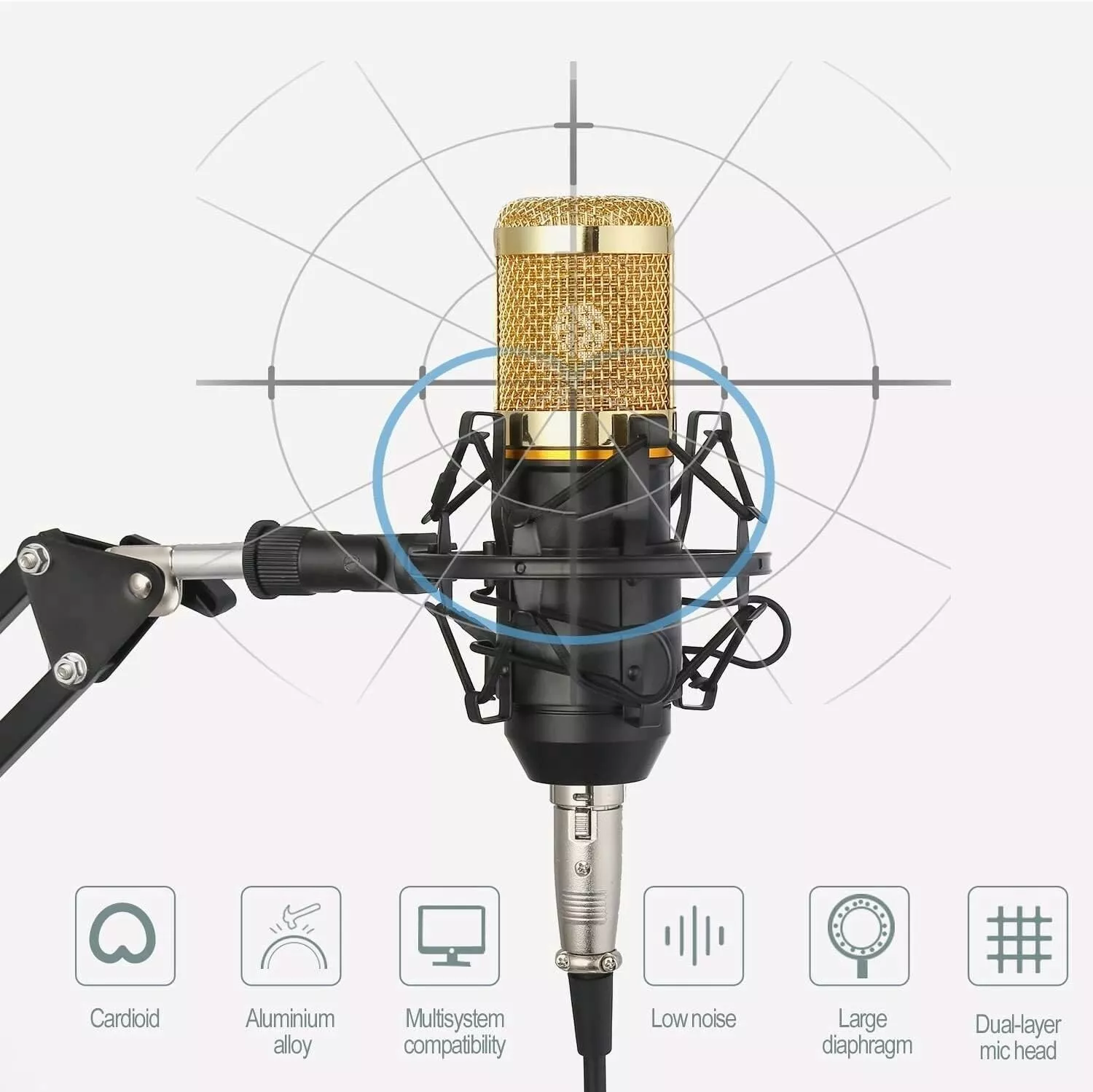 Professional Studio Recording Bundle with BM-800 Mic & Live Sound Card - Gold
