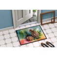 thumbnail image 4 of Carolines Treasures DAC1665JMAT 24 x 36 in. Unisex Maine White Pine Cone & Tassels in Watercolor Indoor or Outdoor Mat, 4 of 5