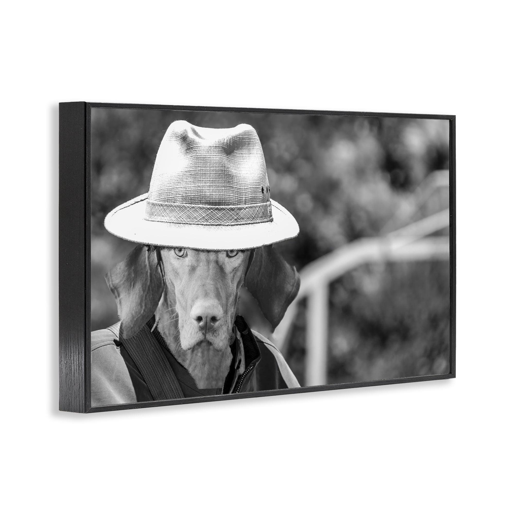 Stupell Industries Country Cowboy Dog Animals & Insects Photography Black Framed Art Print Wall Art, 24 x 16
