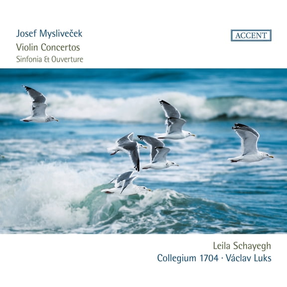 Myslivecek / Schayegh - Violin Concertos - Music & Performance - CD