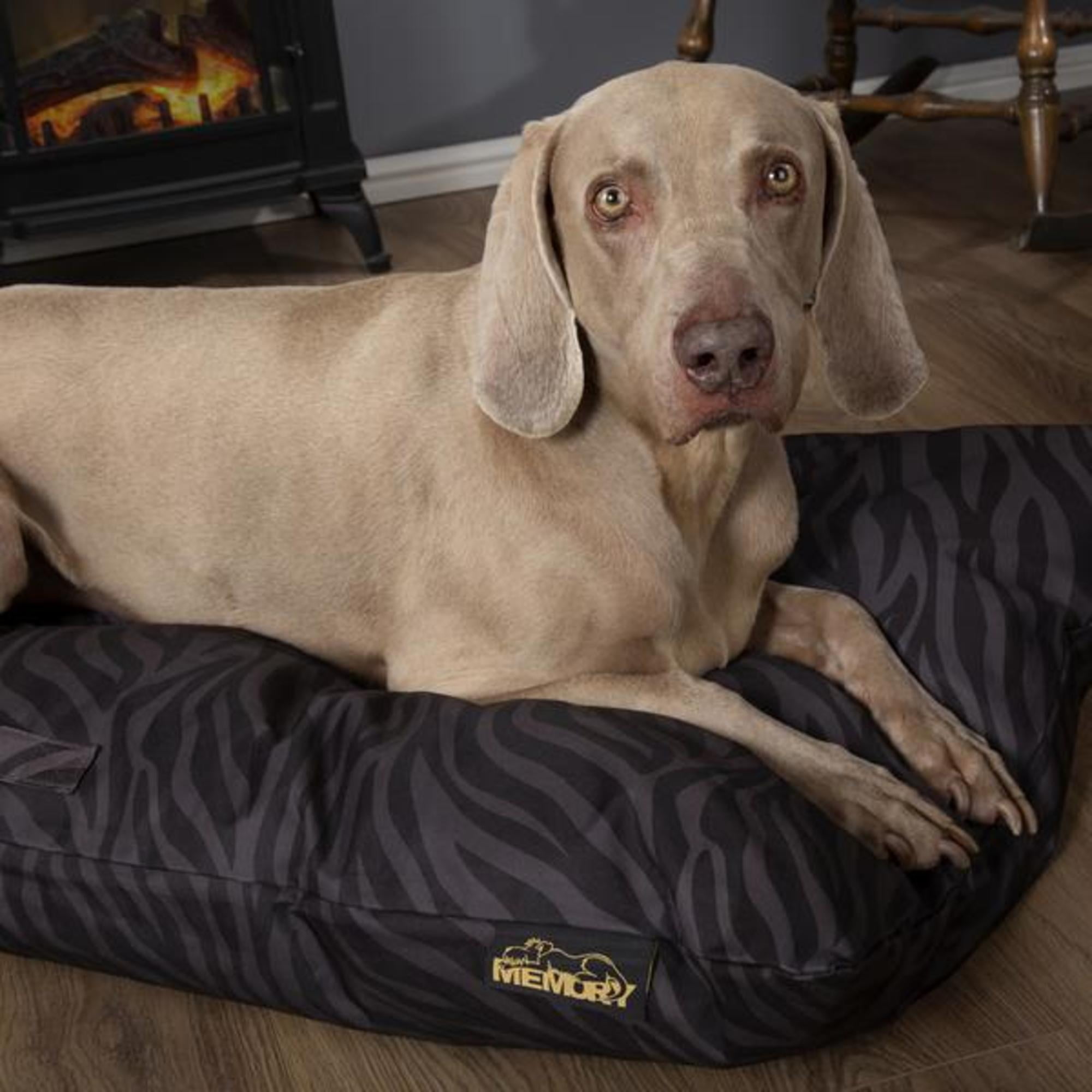 scruffs memory dog bed