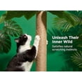 thumbnail image 5 of 31.5Inch Cat Scratching Post,Cat Scratcher Tree with 3 Scratching Poles & 2 Interactive Dangling Balls,Cats Scratching Posts for Indoor Kitten & Adult Cats, 5 of 9