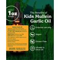 thumbnail image 2 of Aceite de gordolobo y ajo Herb Pharm Kids, 30 ml (paquete de 1), 2 of 7