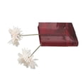 thumbnail image 4 of Book Vase, Modern Book Shape Flower Vase  for Home Transparent Black Characters,Transparent White Characters,Blue White Characters,Brown White Characters,Red White Characters, 4 of 7